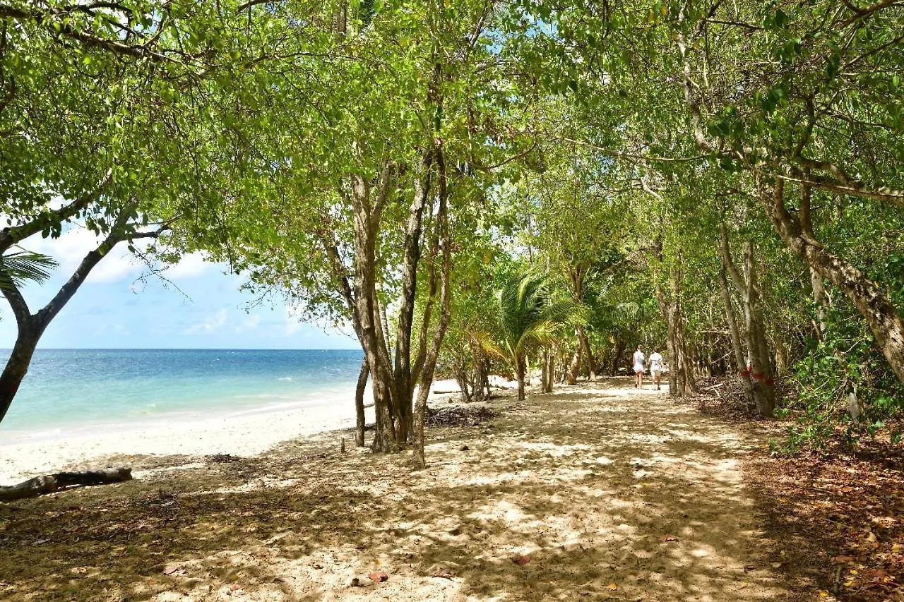 Homestay szállás Manou Apartman Rivière-Pilote Martinique